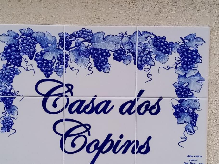 ラメゴ Casa Dos Copinsヴィラ エクステリア 写真